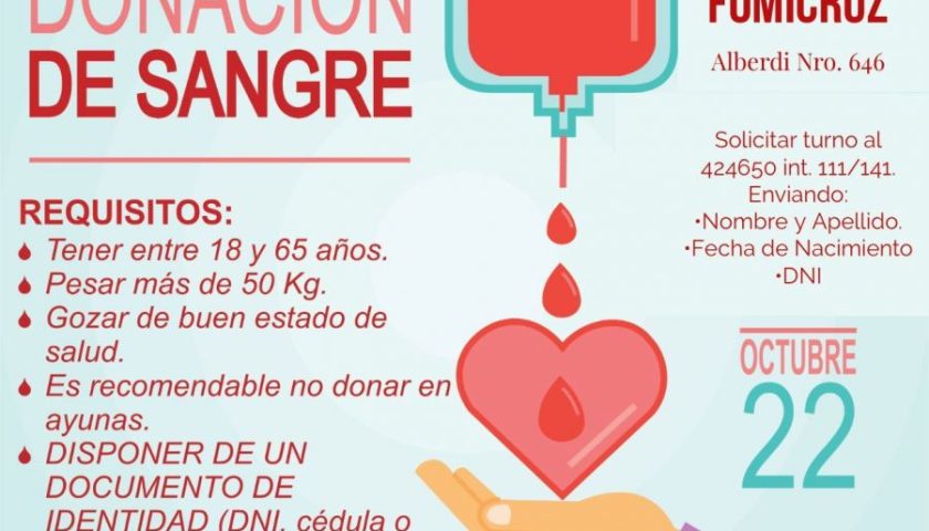 bfdfa33c7e218d089e97d30679923d22 XL