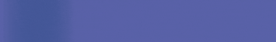 BoxBanner LaGringa (911 x 141 px)