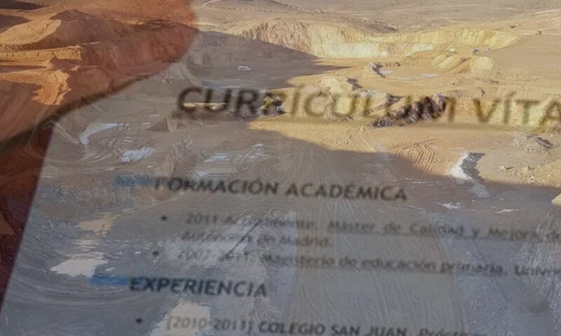 CV minero
