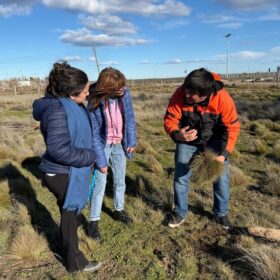 Cerro Moro biodiversidad