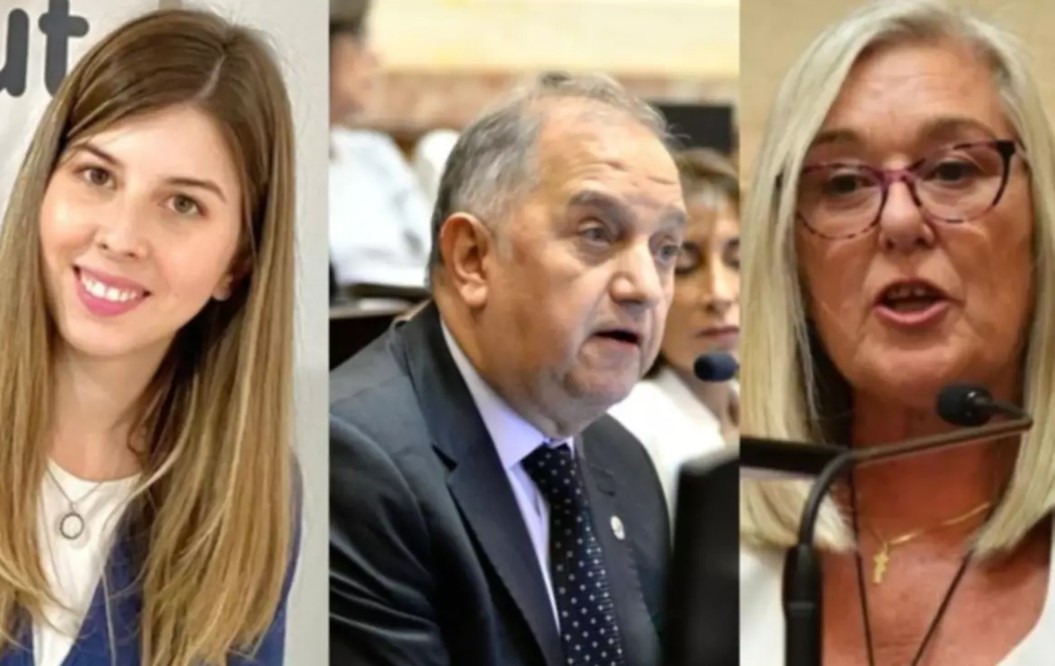 Diputados Chubut