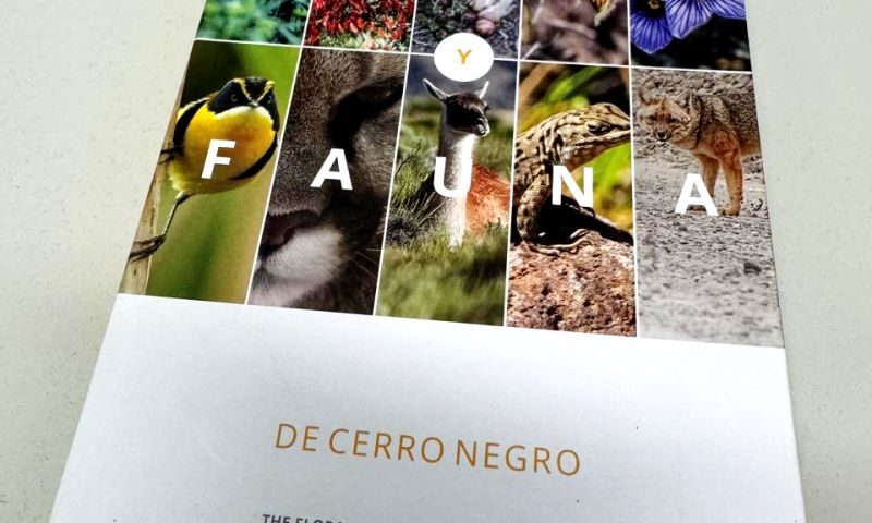 Flora y Fauna