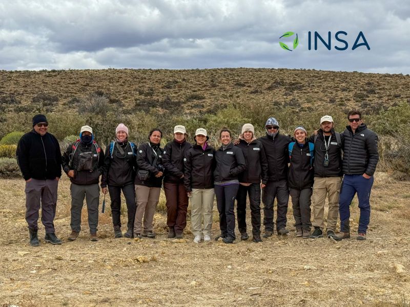 INSA