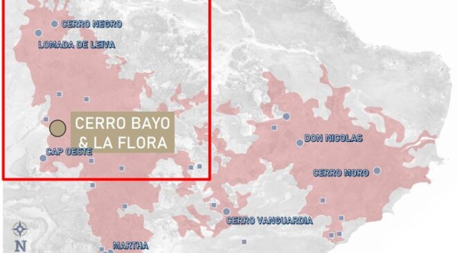 Latin Metals Cerro Bayo y la Flora