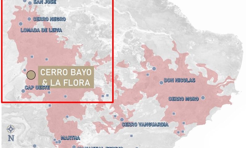 Latin Metals Cerro Bayo y la Flora