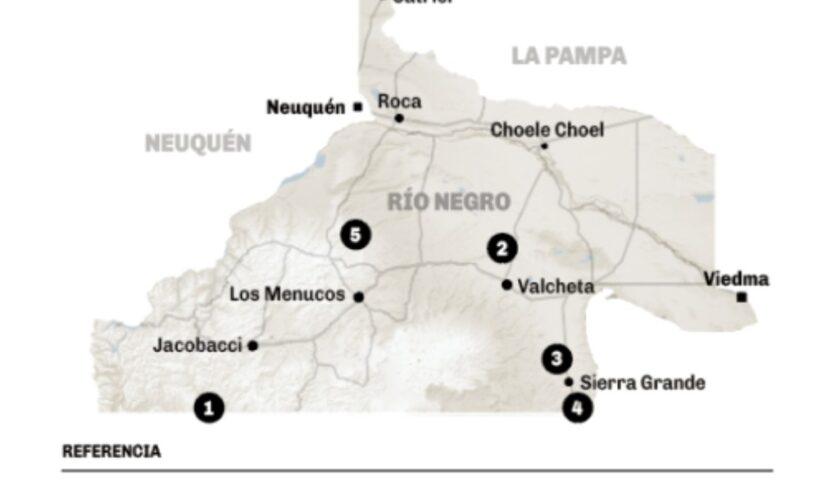 Rio Negro Proyectos
