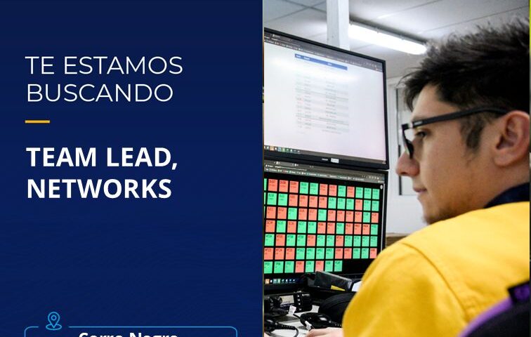 Team Leds networks