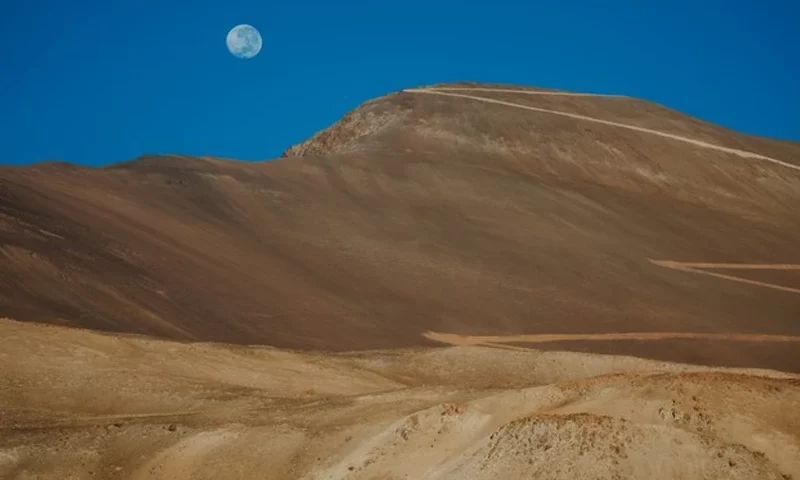 Vicuña03
