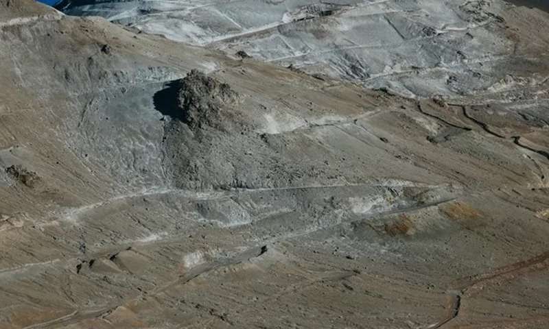 Vicuña04