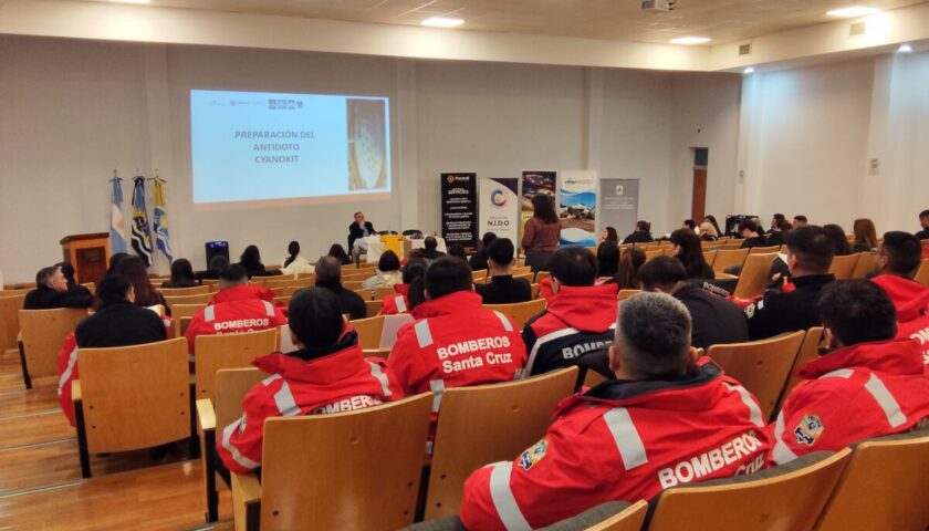 cvsa jornada2