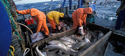 marinero pescador1